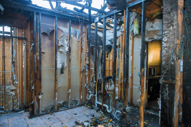 Professional Fire Damage Removal technician working in Webster, FL