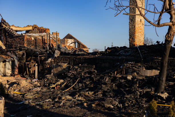 Reliable Fire Damage Removal contractor in Webster, FL by Fire Damage Doption