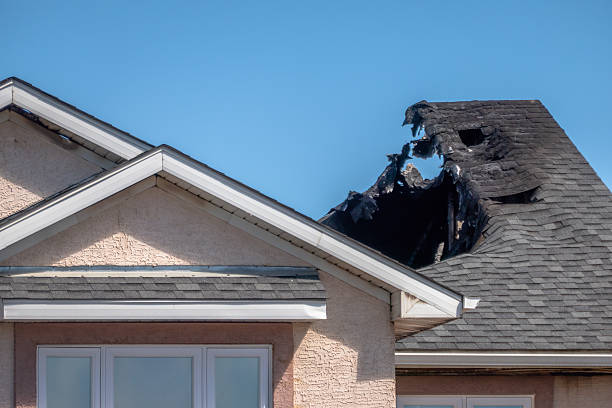 Top rated local Fire Damage Removal specialists in Webster, FL